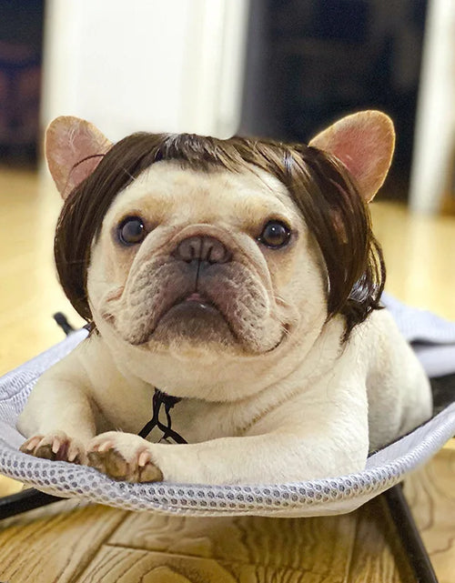 Load image into Gallery viewer, Pet Wigs Cosplay Props Dog Cat Cross-Dressing Hair Set Photography Funny Props Head Accessories Prank Pet Supplies Costumes DIY
