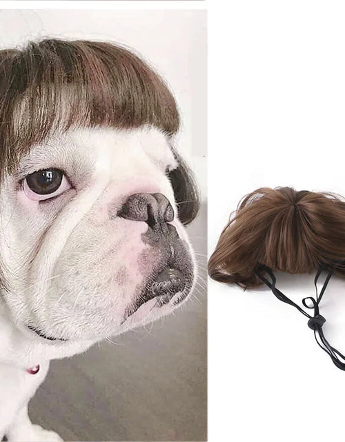 Load image into Gallery viewer, Pet Wigs Cosplay Props Dog Cat Cross-Dressing Hair Set Photography Funny Props Head Accessories Prank Pet Supplies Costumes DIY
