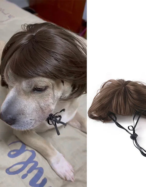 Load image into Gallery viewer, Pet Wigs Cosplay Props Dog Cat Cross-Dressing Hair Set Photography Funny Props Head Accessories Prank Pet Supplies Costumes DIY
