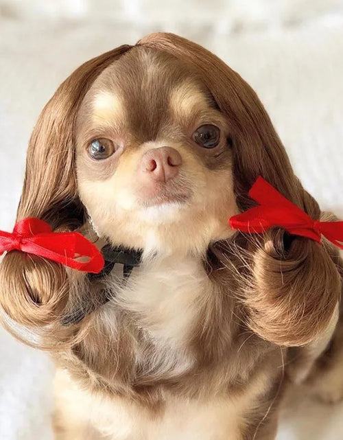 Load image into Gallery viewer, Pet Wigs Cosplay Props Dog Cat Cross-Dressing Hair Set Photography Funny Props Head Accessories Prank Pet Supplies Costumes DIY
