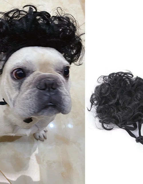 Load image into Gallery viewer, Pet Wigs Cosplay Props Dog Cat Cross-Dressing Hair Set Photography Funny Props Head Accessories Prank Pet Supplies Costumes DIY
